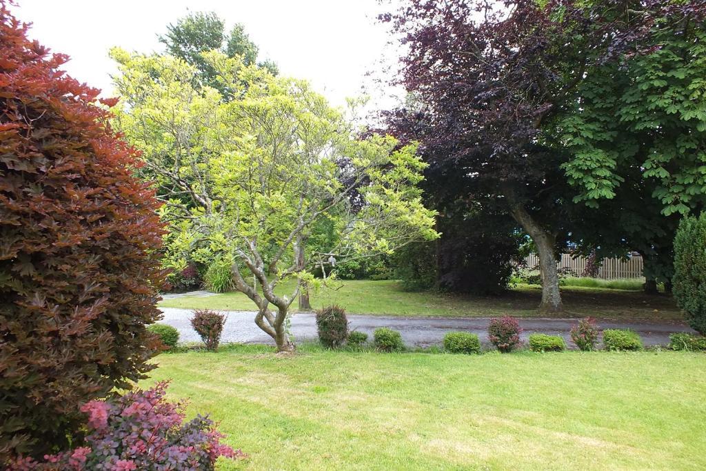 Llwyn Country House Llanelli Bagian luar foto